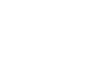 Whitney Economics